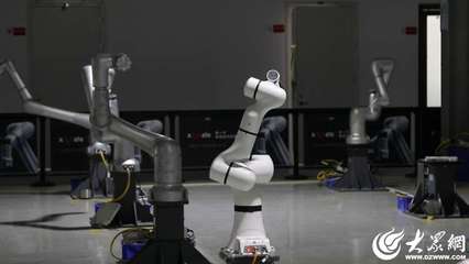 珞石機(jī)器人 以核心技術(shù)領(lǐng)跑，驅(qū)動(dòng)千行百業(yè)智能制造升級(jí)